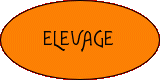 Élevage