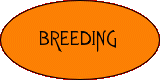 Breeding