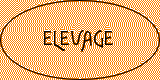 Élevage