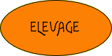 Élevage