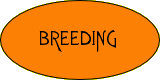 Breeding