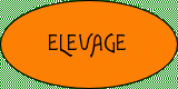 Élevage