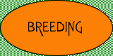 Breeding