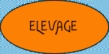 Élevage