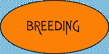 Breeding