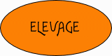 Élevage