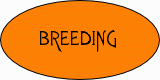 Breeding
