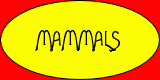 Mammals