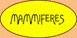 Les mammifères