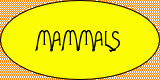Mammals