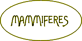 Les mammifères