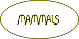 Mammals