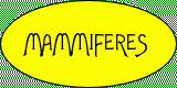 Les mammifères