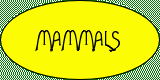 Mammals