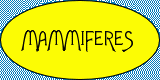 Les mammifères