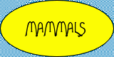 Mammals