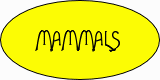 Mammals