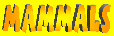Mammals