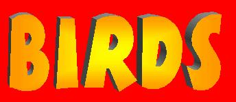 Birds
