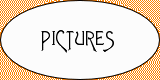 Pictures