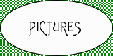 Pictures